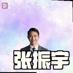 张振宇